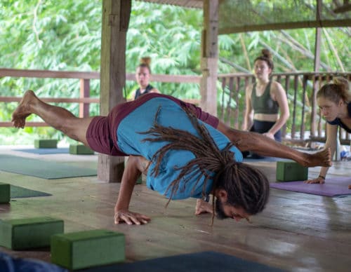 Vinyasa Yoga Teacher Training Chiang Mai