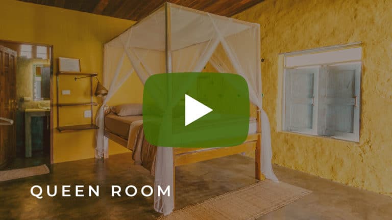 Accommodation Queen Room Video Tour