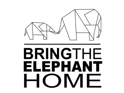 Bring The Elephant Home