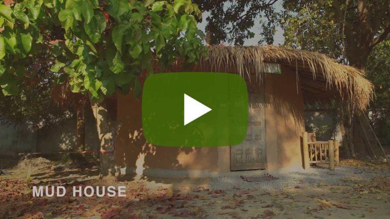 Suan Sati 1 Hosting - Earth House Video Tour