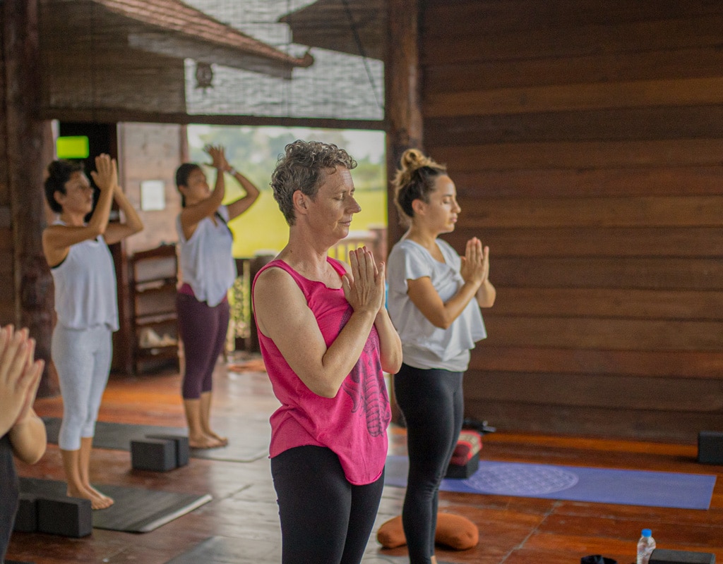 Suan Sati Yoga Vision Inclusivity Standing Pose